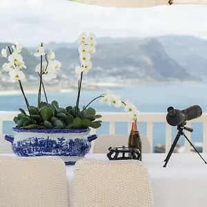 *** Guest house Penguin Palace South Africa